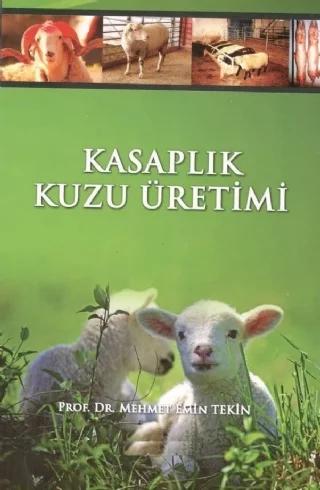 Kasaplık Kuzu Üretimi & Kuzu Besiciliği