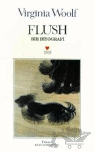Flush Bir Biyografi