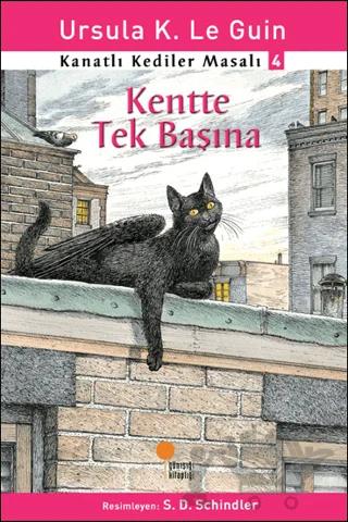 Kanatlı Kediler Masalı 4 - Kentte Tek Başına
