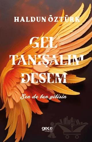 Gel Tanışalım Desem-Sen de Ben Gibisin