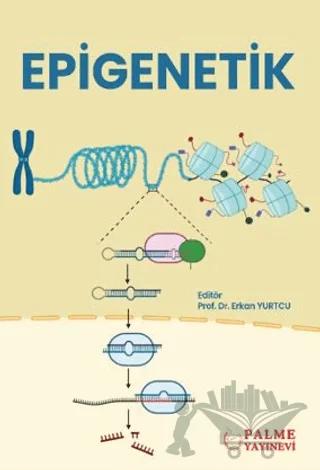 Epigenetik