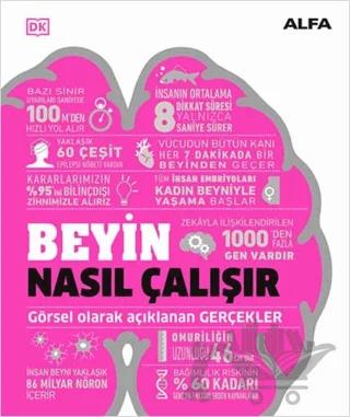 Beyin Nasıl Çalışır