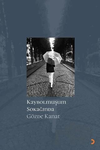 Kaybolmuşum Sokağında