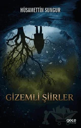 Gizemli Şiirler