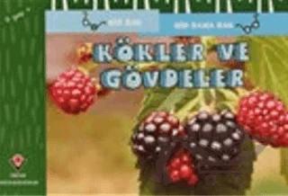 Kökler ve Gövdeler - Bir Bak Bir Daha Bak