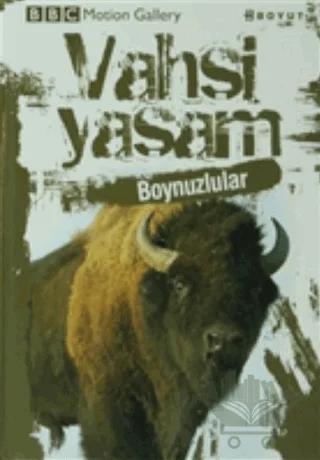 Vahşi Yaşam-Boynuzlular