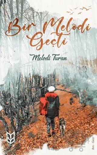 Bir Melodi Geçti