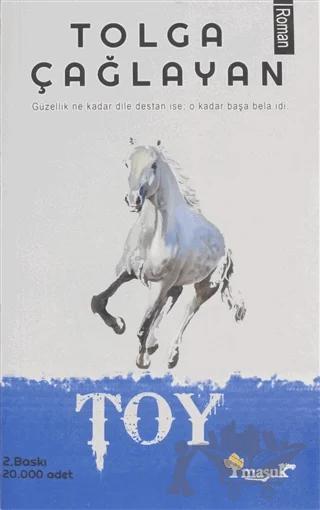 Toy