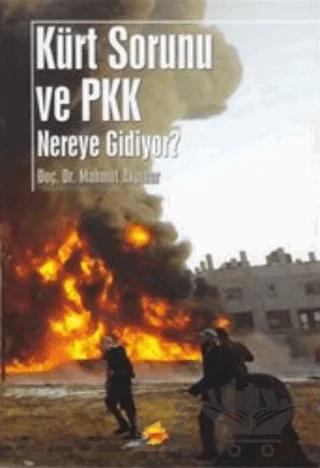 Kürt Sorunu ve PKK Nereye Gidiyor