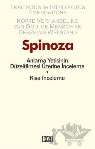 Anlama Yetisinin Düzeltilmesi Üzerine İnceleme
