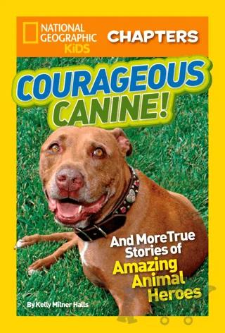 Courageous Canine!