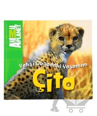 Vahşi Doğadaki Yaşamım: Çita