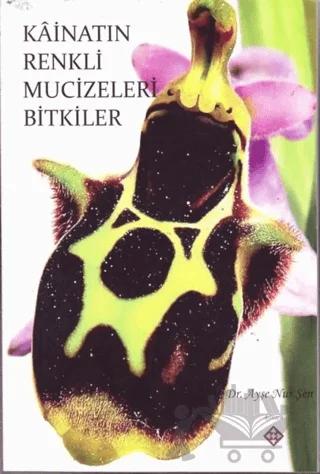 Kainatın Renkli Mucizeleri Bitkiler