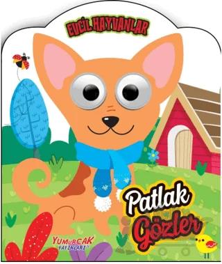 Patlak Gözler - Evcil Hayvanlar