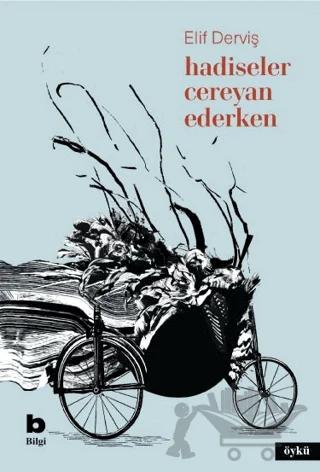 Hadiseler Cereyan Ederken