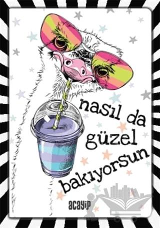 Havalı Tembel Hayvan Defter - Çılgın Defterler