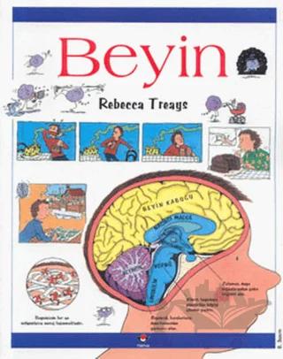Beyin