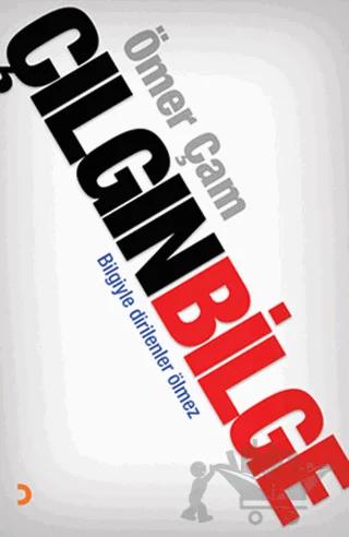 Çılgın Bilge