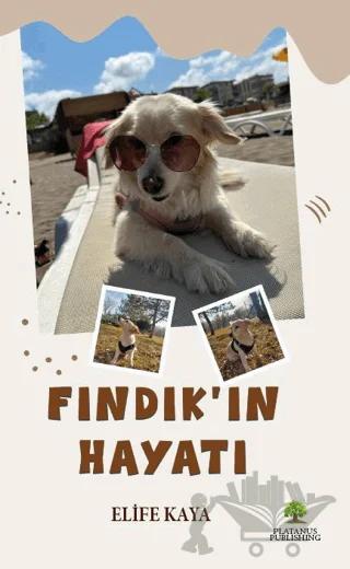 Fındık’ın Hayatı