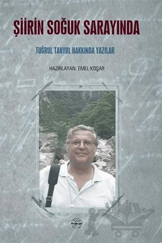 Şiirin Soğuk Sarayında