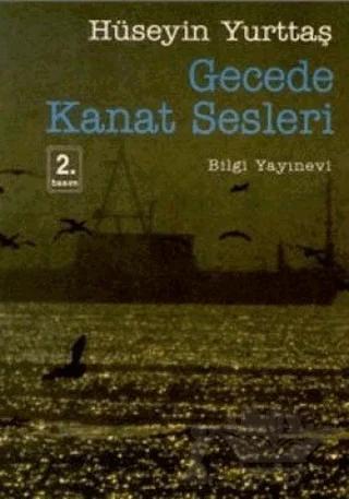 Gecede Kanat Sesleri