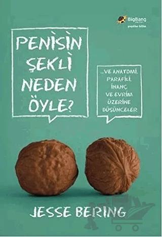 Penisin Şekli Neden Öyle?