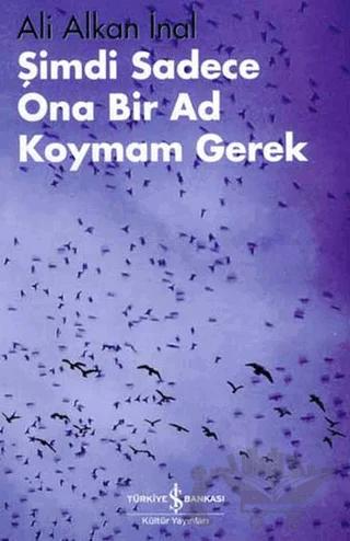 Şimdi Sadece Ona Bir Ad Koymam Gerek
