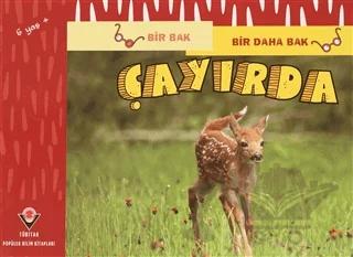 Çayırda - Bir Bak Bir Daha Bak