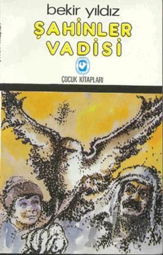Şahinler Vadisi – Bekir Yıldız – Cem Yayınevi kitap kapağı