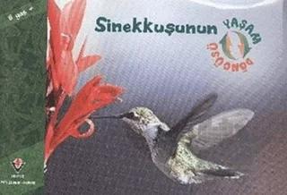 Sinekkuşunun Yaşam Döngüsü