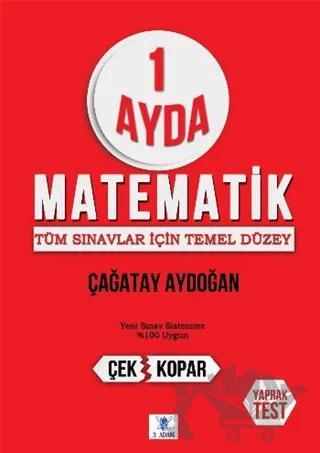 1 Ayda Matematik