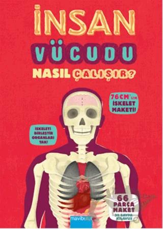 İnsan Vücudu Nasıl Çalışır?