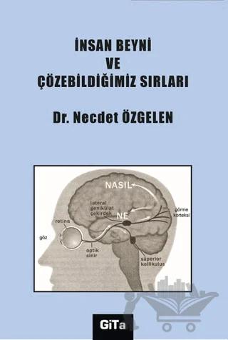 İnsan Beyni ve Çözebildiğimiz Sırları