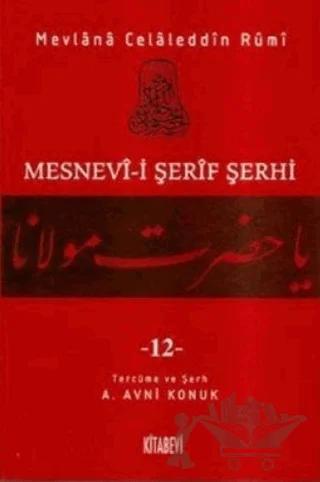 Mesnevi-i Şerif Şerhi Cilt: 12