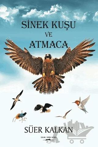 Sinek Kuşu ve Atmaca