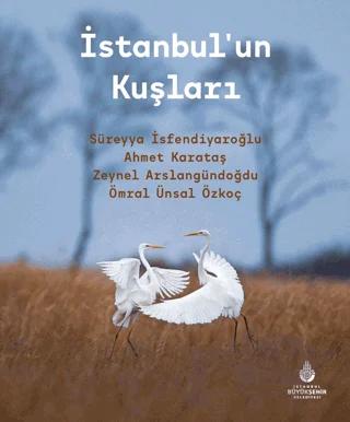 İstanbul’un Kuşları