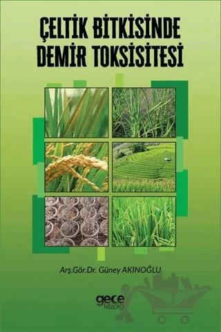 Çeltik Bitkisinde Demir Toksisitesi