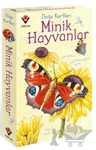 Doğa Kartları - Minik Hayvanlar