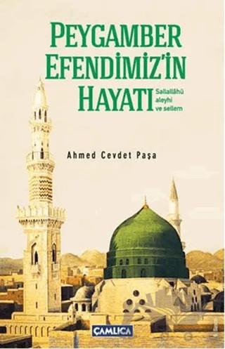 Peygamber Efendimiz'in Hayatı (s.a.s)