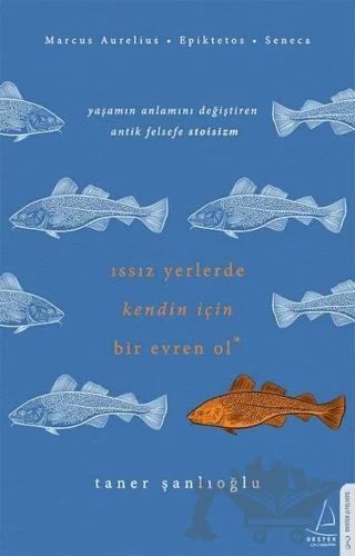 Issız Yerlerde Kendin İçin Bir Evren Ol