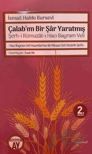 Şerh-i Rümuzat-ı Hacı Bayram Veli - Çalab’ım Bir Şar Yaratmış