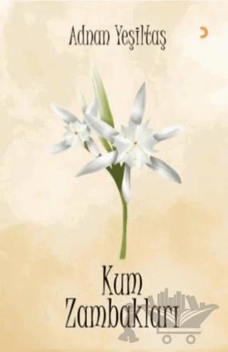 Kum Zambakları