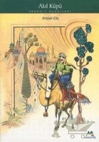 Akıl Küpü