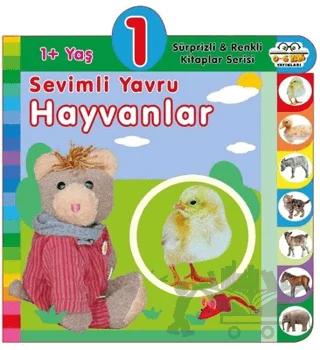 1+ Yaş Sevimli Yavru Hayvanlar