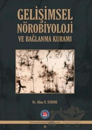 Gelişimsel Nörobiyoloji ve Bağlanma Kuramı