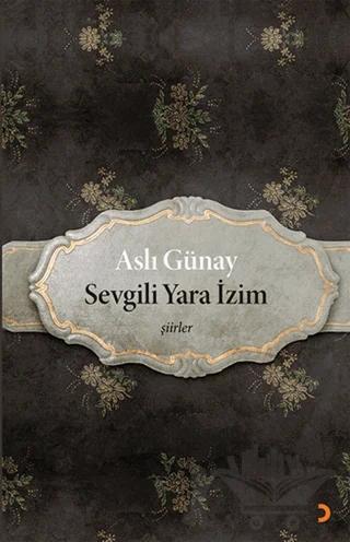 Sevgili Yara İzim – Aslı Günay – Cinius Yayınları kitap kapağı