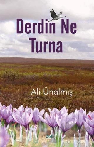 Derdin Ne Turna