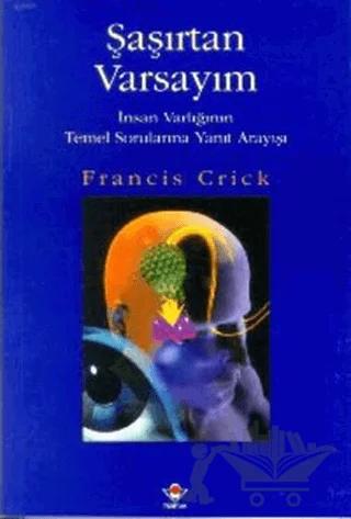 Şaşırtan Varsayım İnsan Varlığının Temel Sorularına Yanıt Arayışı