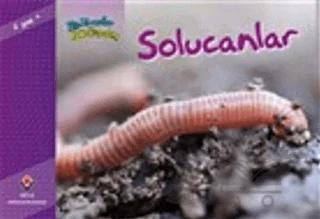 Bir Zamanlar Korkardım - Solucanlar