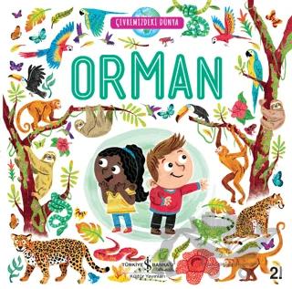 Orman - Çevremizdeki Dünya